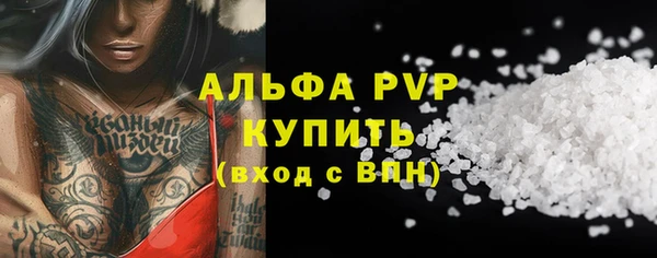 молекула духа Белоозёрский