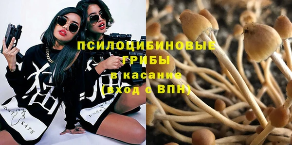 каннабис Беломорск