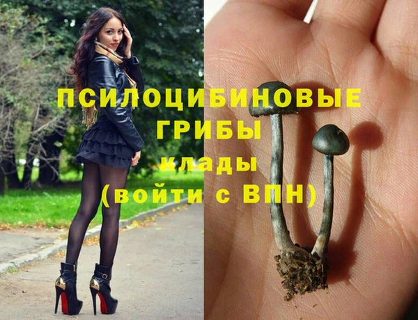 apvp Белокуриха