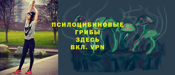 apvp Белокуриха