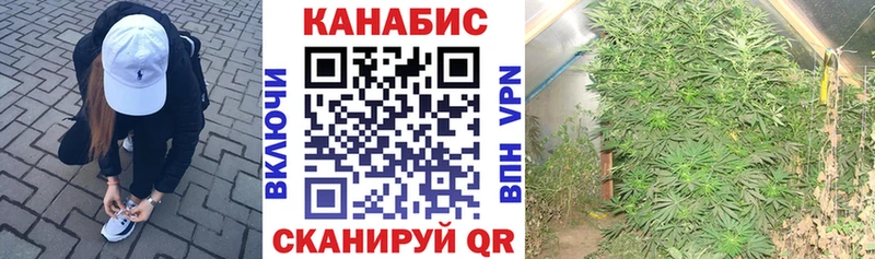 продажа наркотиков  Пионерский  Бошки марихуана ГИДРОПОН 